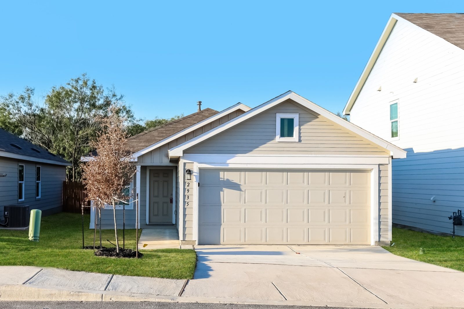 000 photo front view 12013431