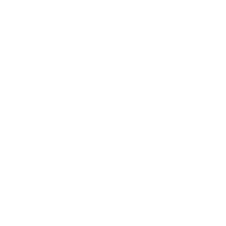 Holden Ridge Logo White