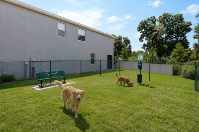 Pet friendly townhomes riverview fl pet park