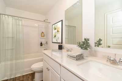 Waterside at Rice Hope an ARK Homes Community Savannah GA Davis Bth Rm