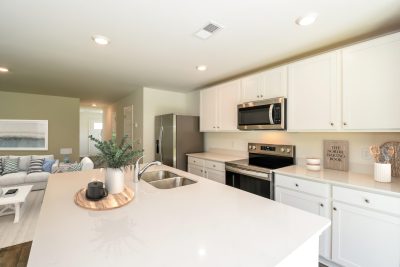 Waterside at Rice Hope an ARK Homes Community Savannah GA Denmark KT