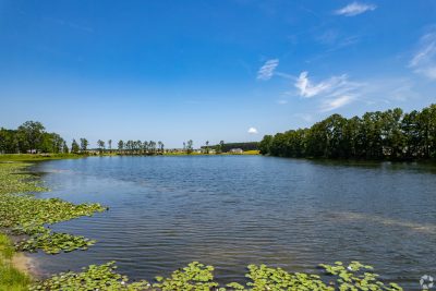 Waterside at Rice Hope an ARK Homes Community Savannah GA Lake View