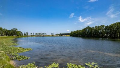 Waterside Lake