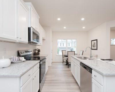 Woodbine Kitchen 2
