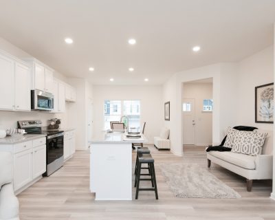 Woodbine Kitchen 3