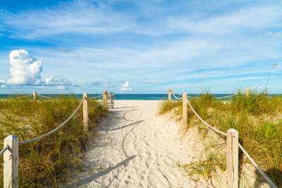 ALT